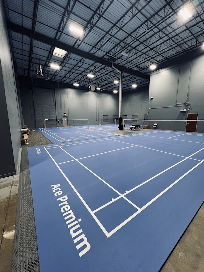 Ace Premium Badminton Academy