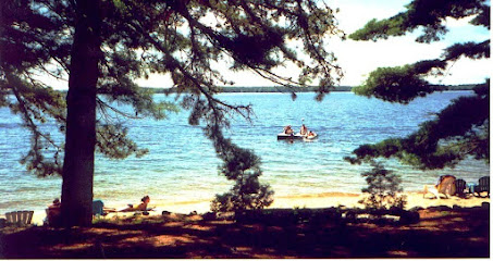 Wind in Pines