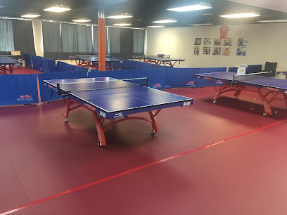 Super Spin Table Tennis Club