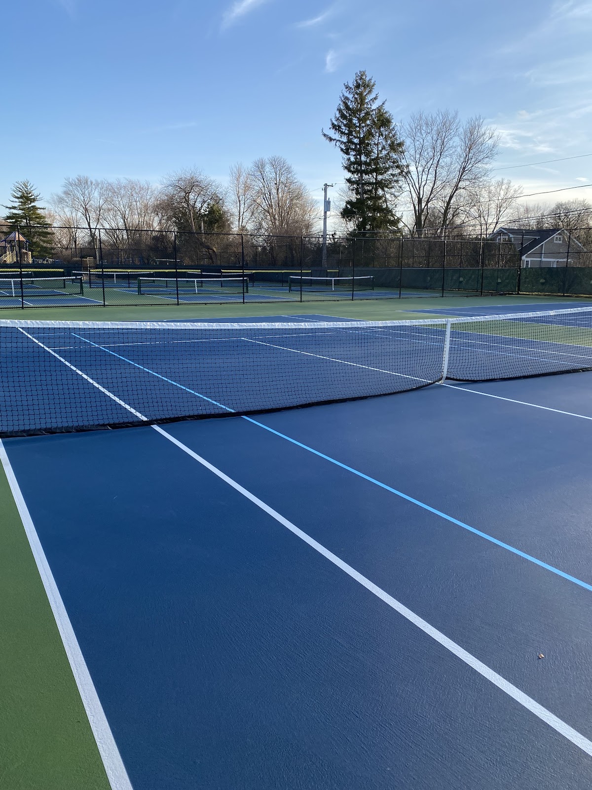 Dryden Park Pickleball and Tennis Courts