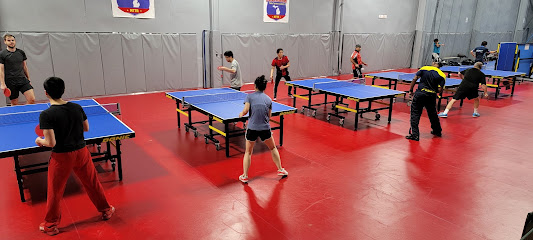 Michigan Table Tennis Academy