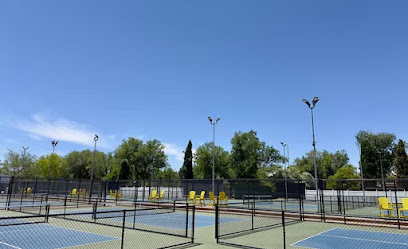 The Pickleball Universe