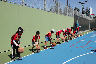 Lifetime Activities - Pleasanton
